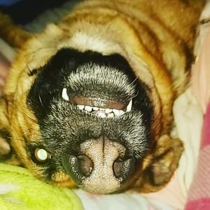 Meet your Posher, Ava rae